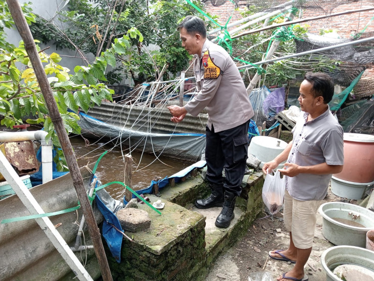 Bhabinkamtibmas Polsek Tulangan Tinjau Kolam Ikan Nila Warga untuk Dukung Program Ketahanan Pangan Nasional
