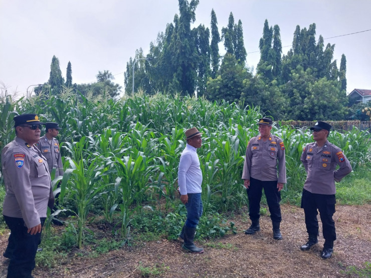 Ketahanan Pangan Sidoarjo Kota, Kolaborasi Warga dan Polisi Suburkan Tanaman Jagung