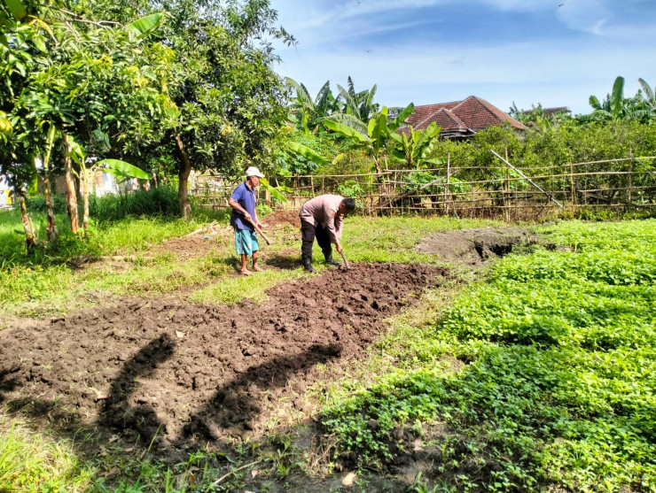 Bhabinkamtibmas Desa Jiken Tulangan Pastikan Optimalisasi Pengolahan Lahan Pangan Bergizi