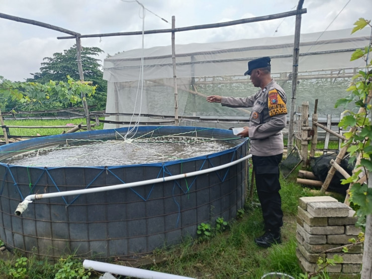 Bhabinkamtibmas Desa Kraton Koordinasi dengan Pembudidaya Ikan Nila Bumdes Kraton