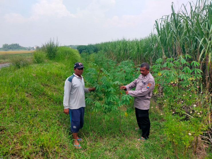 Polisi Ajak Warga Gagang Kepuhsari Balongbendo Kelola Lahan Kosong di Tanami Sayuran
