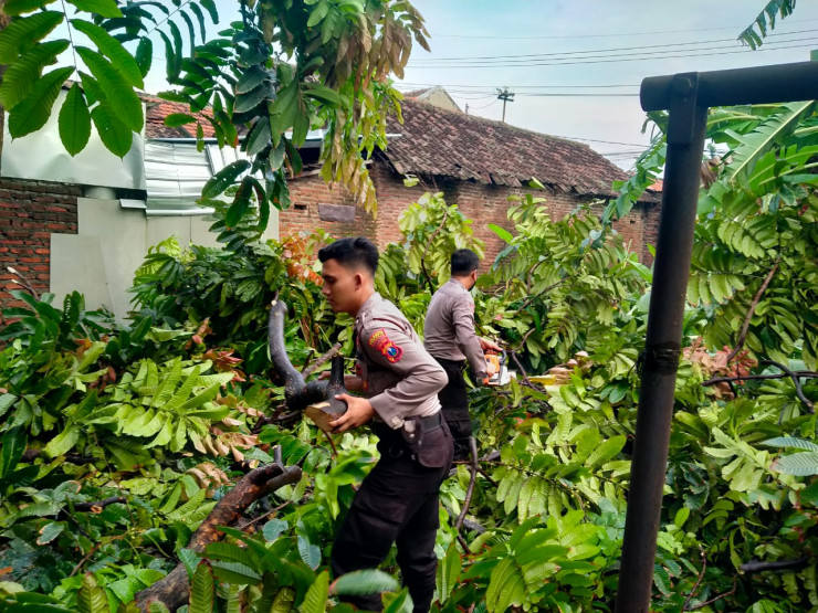 Sinergitas Bantu Warga Terdampak Angin Kencang di Wilayah Waru