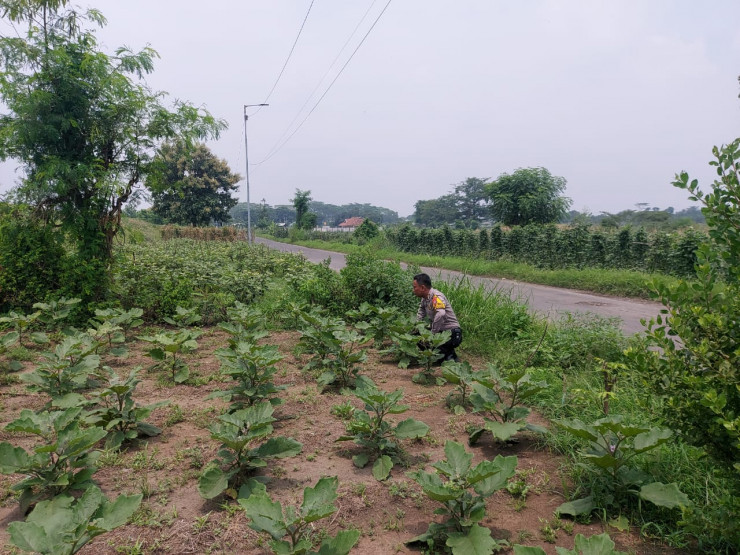 Bhabinkamtibmas Kenongo Cek Lahan Ketahanan Pangan Peternakan Unggas Dukung Program Asta Cita Presiden