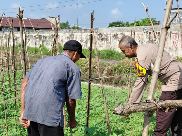Polisi Bersama Petani Desa Jiken Tulangan, Kelola Lahan Sayur untuk Dukung Ketahanan Pangan