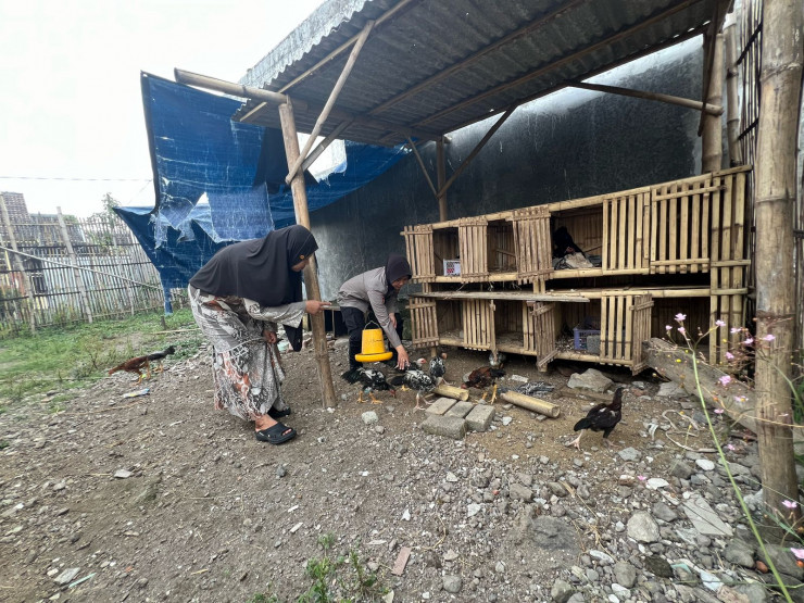 Dukung Ketahanan Pangan, Bhabinkamtibmas Desa Mojorangagung Dukung Warga Tingkatkan Hasil Ternak Ayam