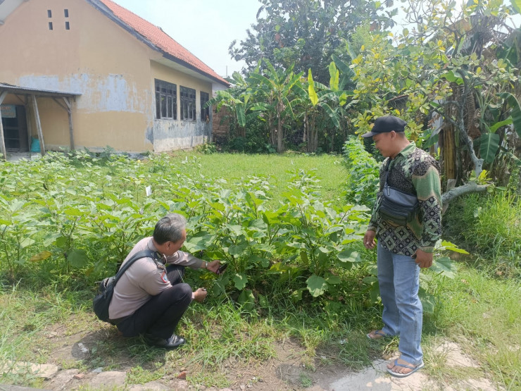 Sekolah di Prambon Sidoarjo Dukung Program Ketahanan Pangan Lewat Pemanfaatan Pekarangan Kosong