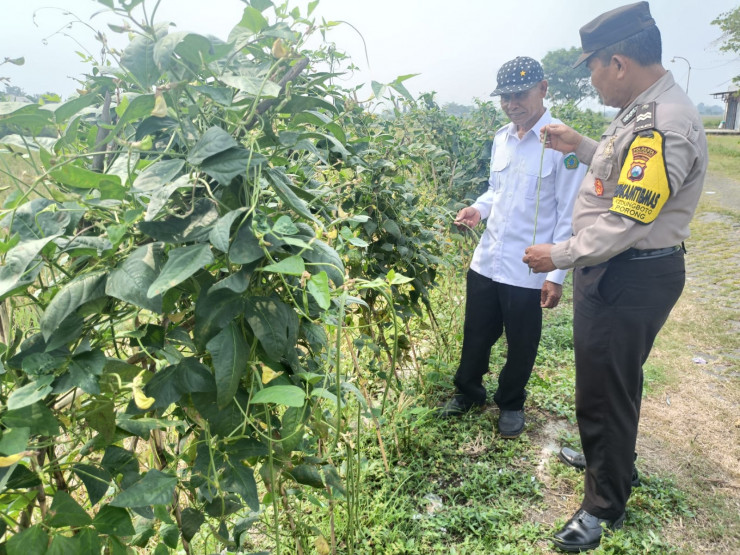 Warga Kedungboto Terinspirasi Program Asta Cita Presiden RI Prabowo, Galakkan Ketahanan Pangan Lewat Pekarangan Pangan Bergizi